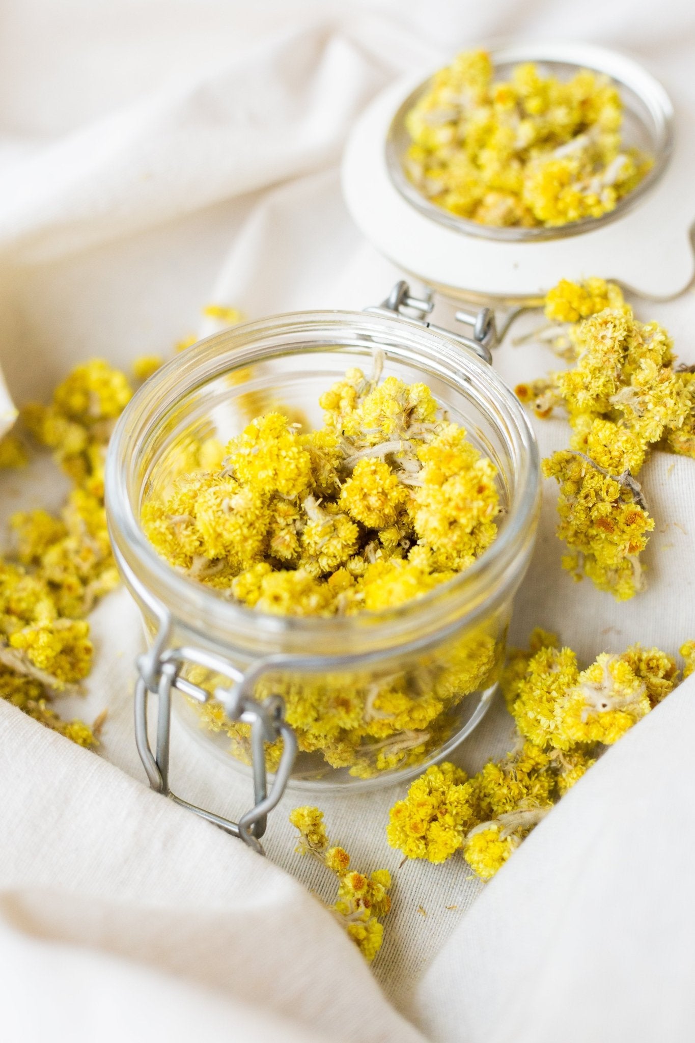 Безсмертник(лат. Helichrysum arenarium) - Grandma's Pharm