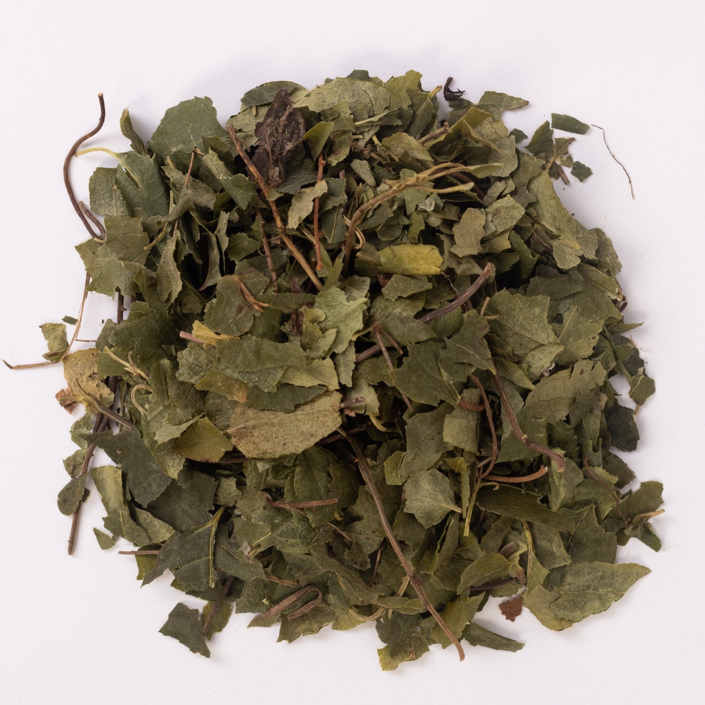 Борова матка (лат. Orthilia secunda) - Grandma's Pharm