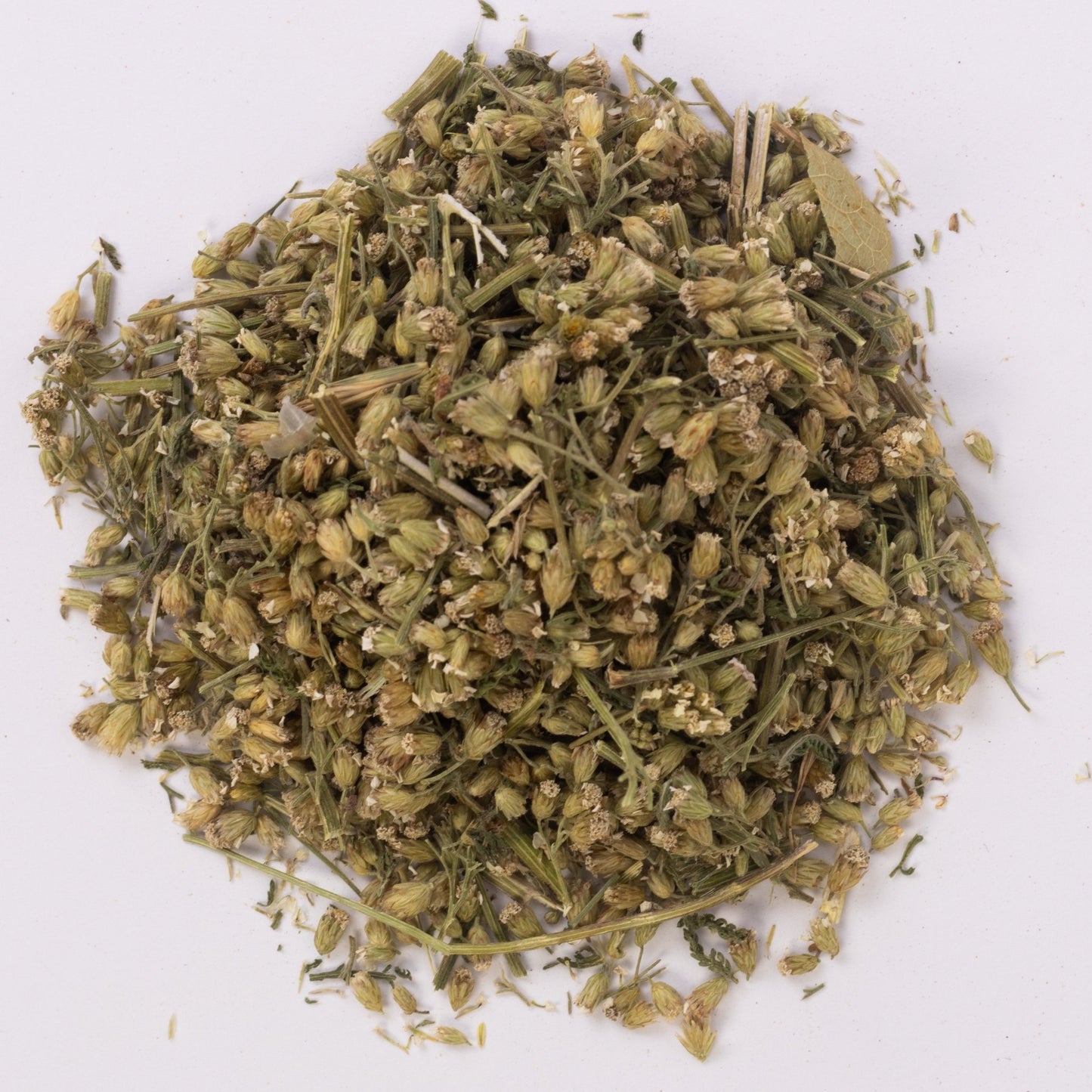 Деревій (лат. Achillea millefolium) - Grandma's Pharm