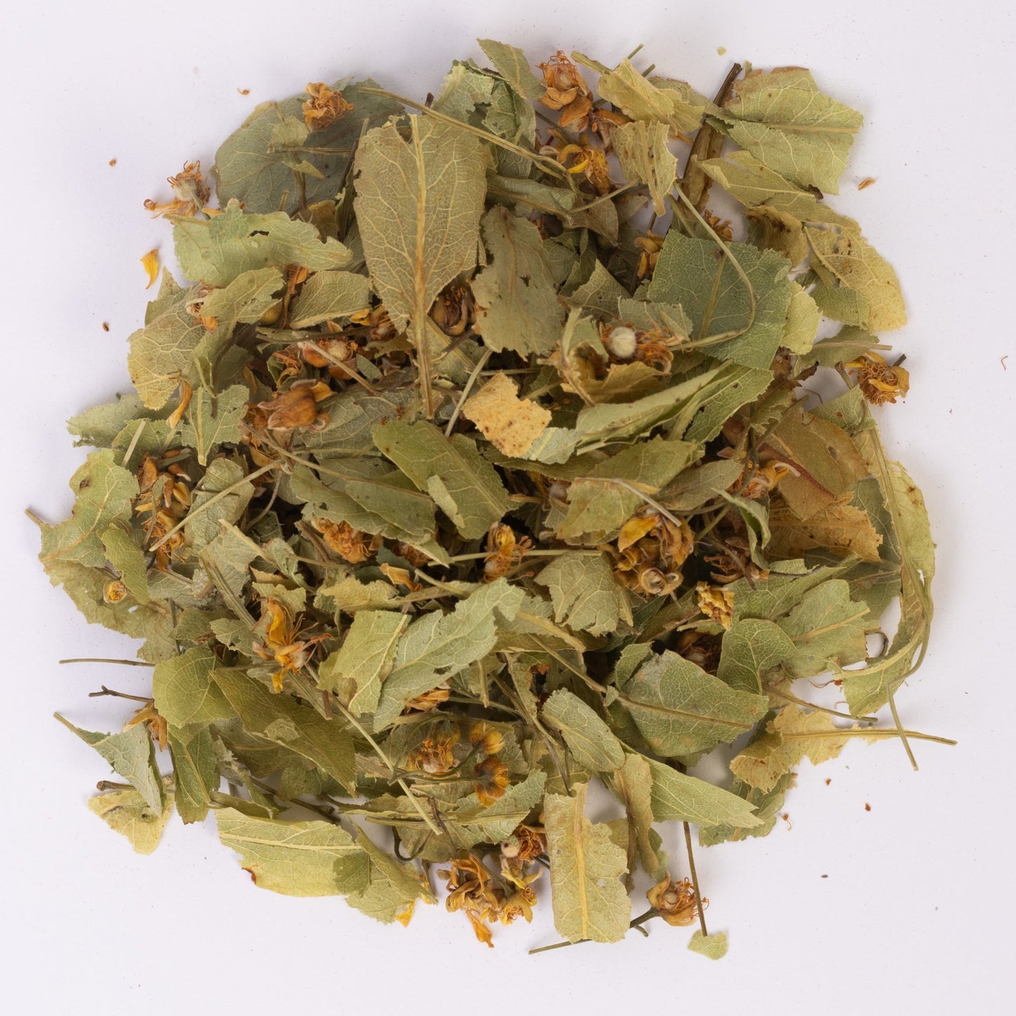 Липа (лат. Tiliae flos) - Grandma's Pharm