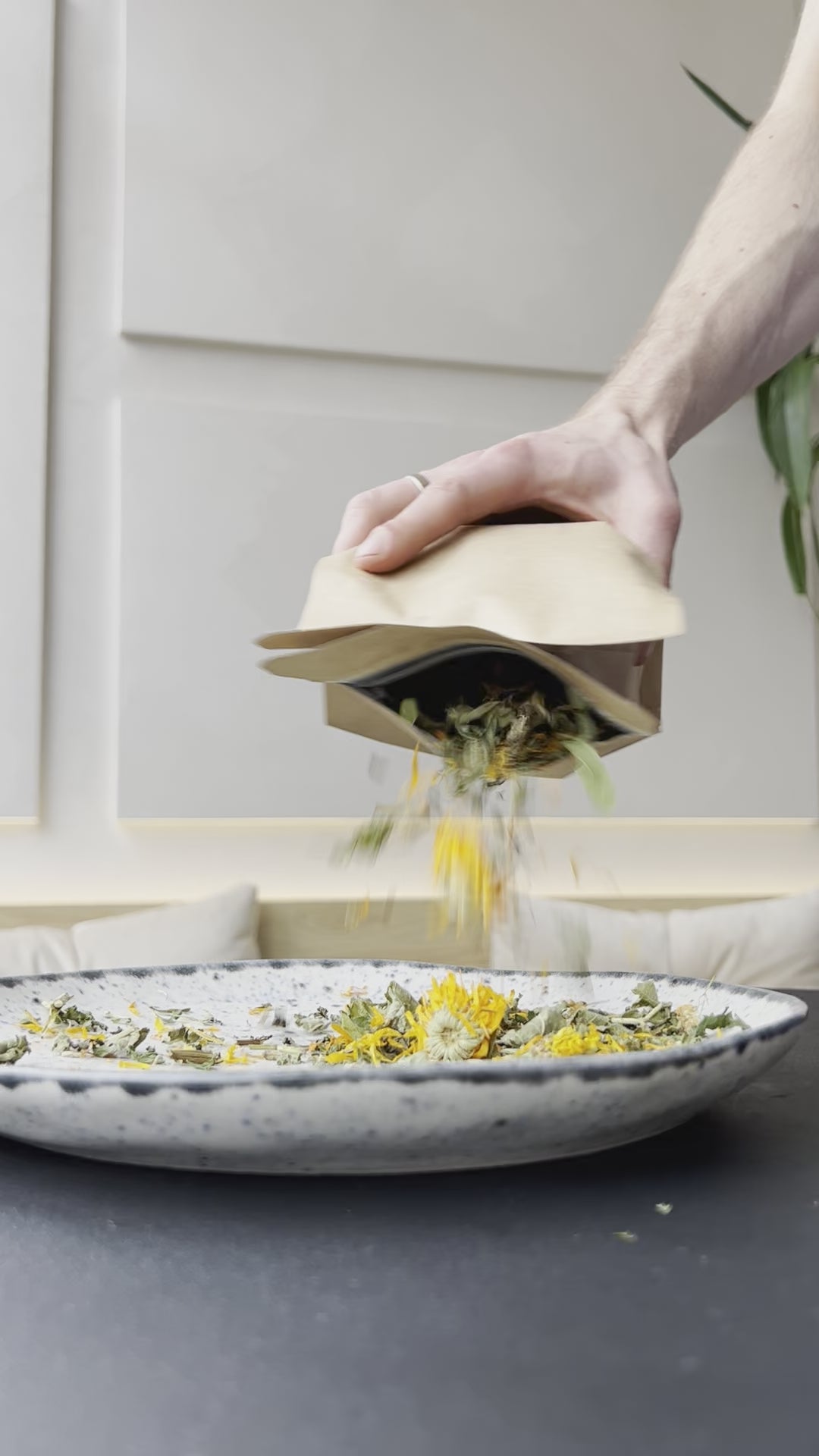 Фіточай "Мікрофлора"