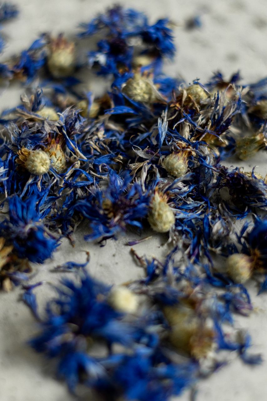 Волошка синя, квітки(лат. Centaurea cyanus) - Grandma's Pharm