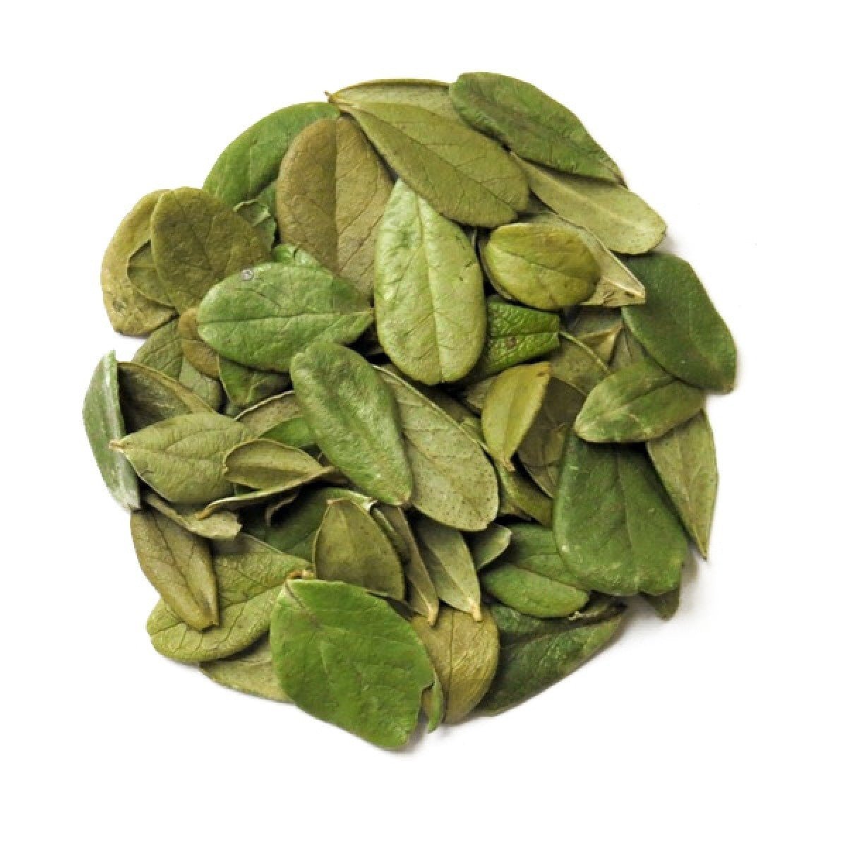 Брусниця листя(лат. Vaccinium vitis - idaea L.) - Grandma's Pharm