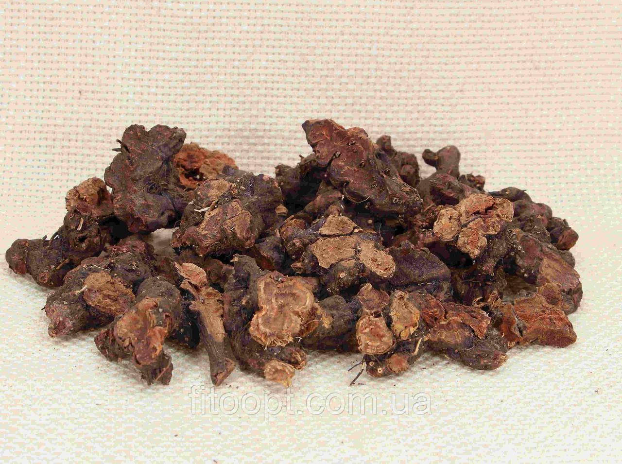 Калган, корінь - Grandma's Pharm