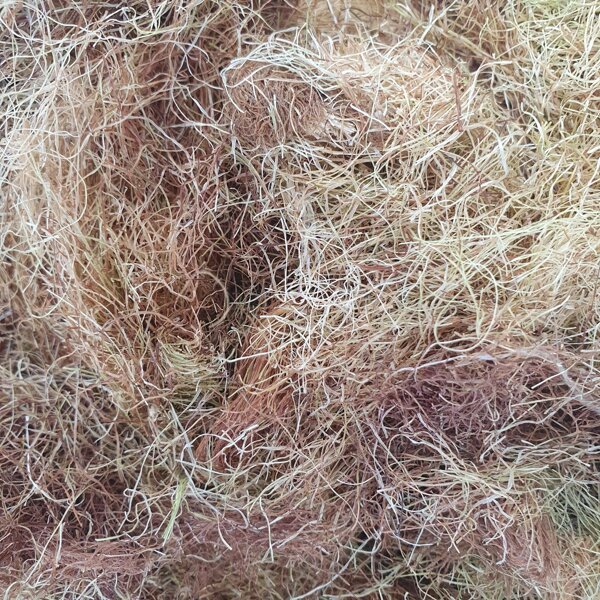 Кукурудзяні рильця - Grandma's Pharm