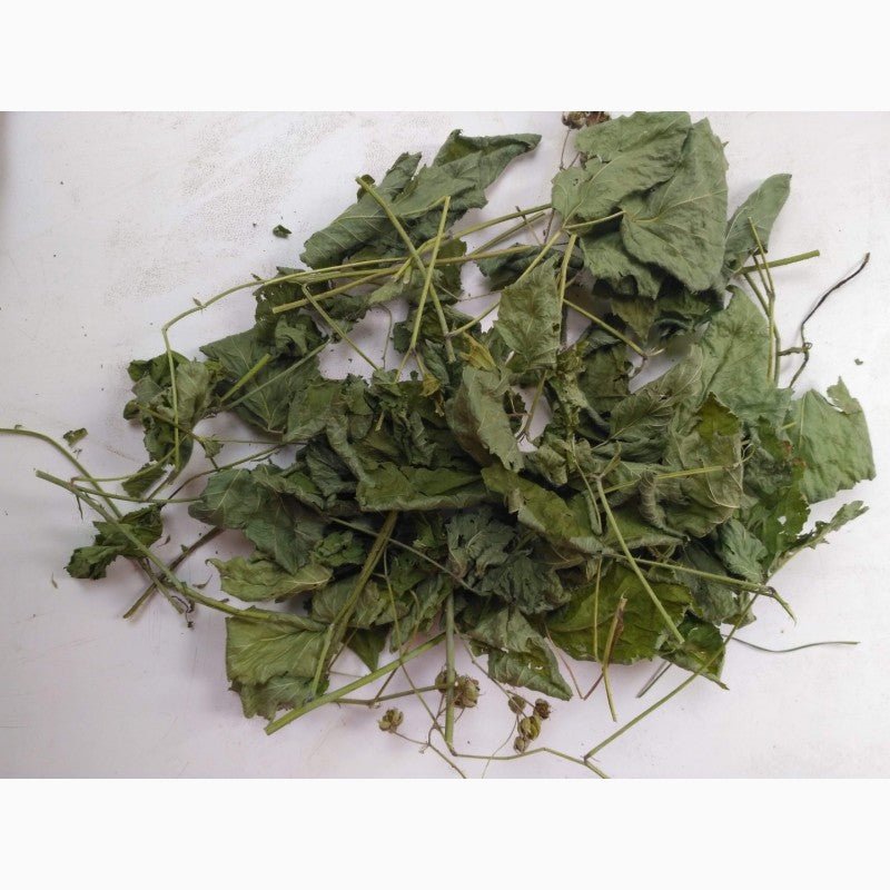 Ожина листя (лат. Rubus fruticosus) - Grandma's Pharm