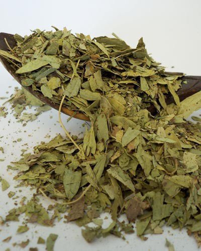 Сенна (Олександрійський лист) (лат. Senna alexandrina) - Grandma's Pharm