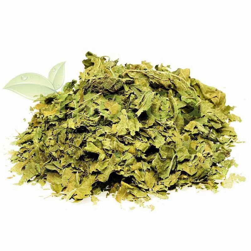 Шовковиця, листя - Grandma's Pharm