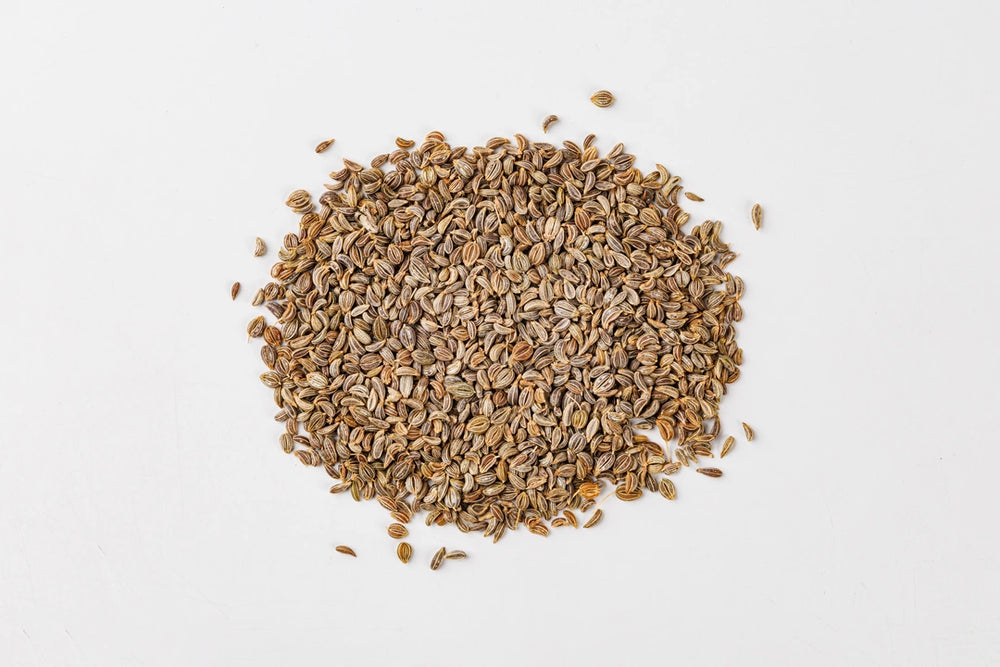 Parsley, seeds (Petroselinum crispum)