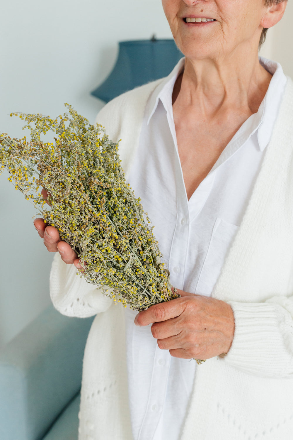 Bitter wormwood (lat. Artemisia absinthium)