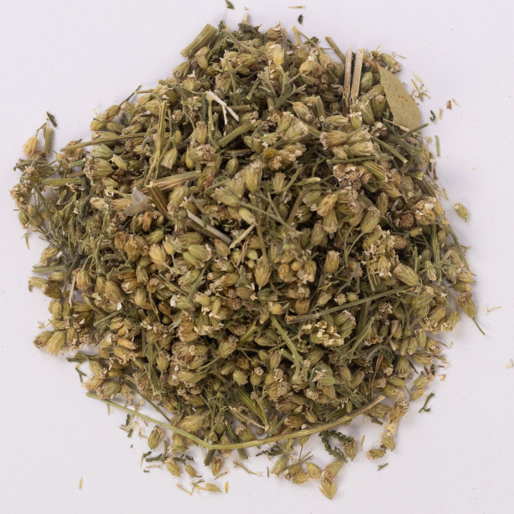 
                      
                        Деревій (лат. Achillea millefolium) - Grandma's Pharm
                      
                    