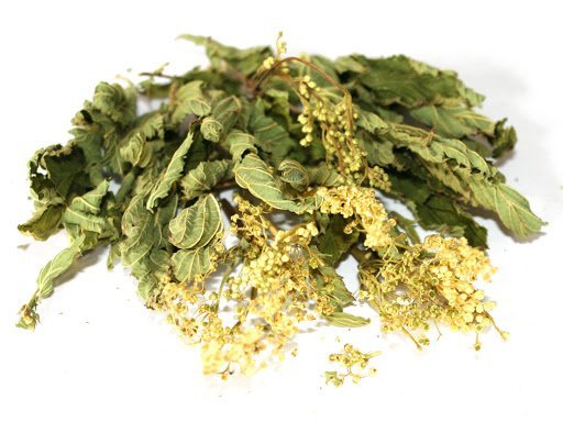 Таволга (лабазник в'язолистий) (лат. Filipendula) - Grandma's Pharm