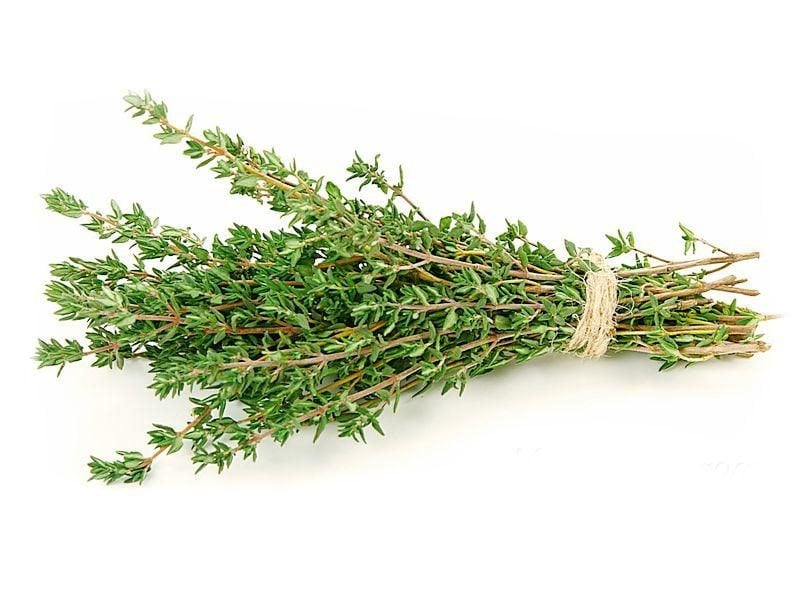 Thyme (lat. Thymus vulgaris)